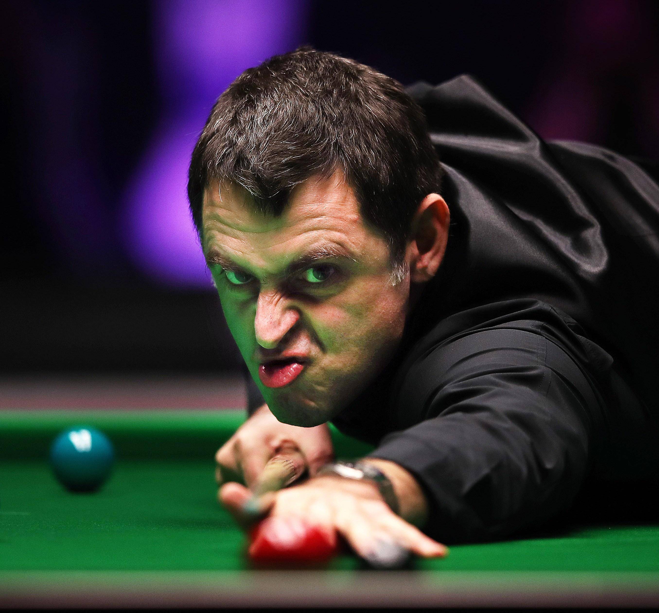 以迎接更多 以迎接更多