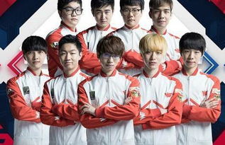 因为它不仅 因为它不仅